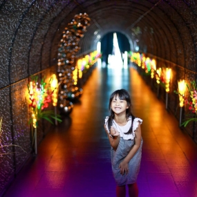 Lighting Art Museum & Balloon Garden