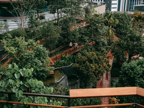 Dusit Arunee Garden – Ốc đảo xanh mới giữa lòng Bangkok!