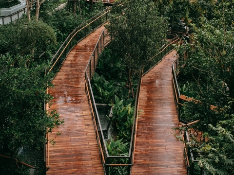 Dusit Arunee Garden – Ốc đảo xanh mới giữa lòng Bangkok!