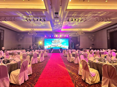 ASIA INGEDIENTS GROUP